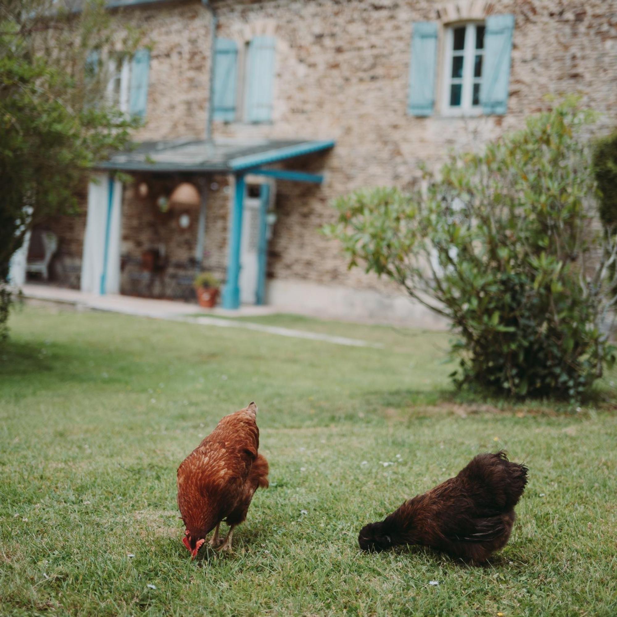 فندق Domaine De La Fauvriere Sainte-Honorine-de-Ducy المظهر الخارجي الصورة
